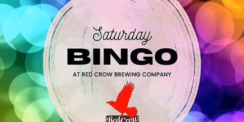 Saturday Bingo 11\/7\/26