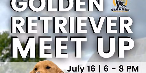 Golden Retriever Meet Up Night