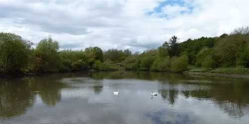 57. By Still Waters: 6.5 miles, Dog Friendly