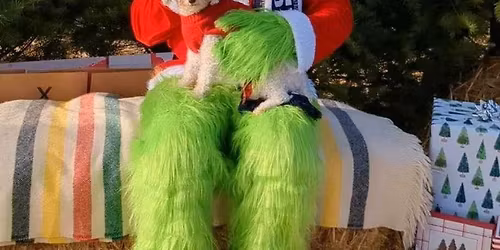 Grinch Sighting in Blaine, Washington