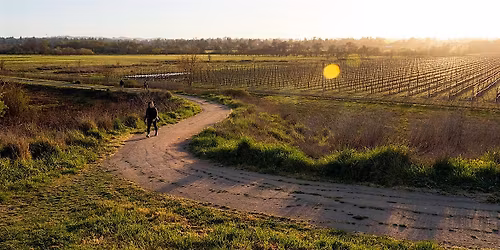 Sebastopol Walks: Exploring the History & Future of the Laguna de Santa Ros