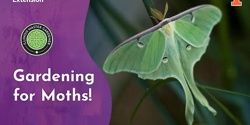 Gardening for Moths