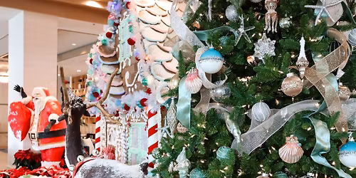 Christmas Pasta Feast at The Social