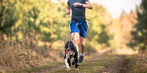 Warsztaty biegowe z Dejn\u0105 - czyli jak zacz\u0105\u0107 biega\u0107 z w\u0142asnym psem!  22.11.2025 (sobota)