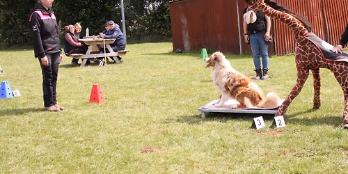 Ext\u00e9rieur r\u00e9serv\u00e9 aux comp\u00e9titeurs de l\u2019\u00e9cole