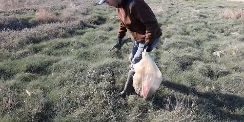 OP\u00c9RATION CANCHE PROPRE