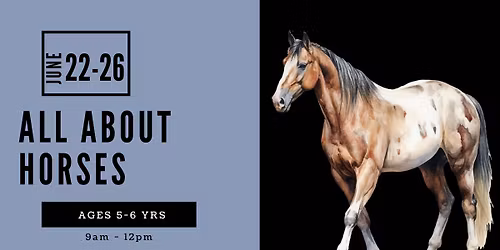 All About Horses