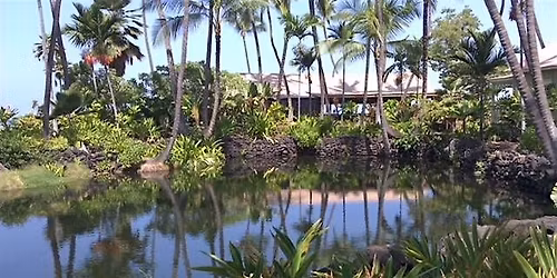 Experience Hawaiian Wisdom & Energy Healing - Intro to Huna Workshop