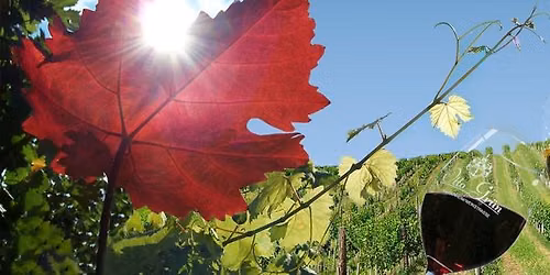 Clubabend auf dem Weingut