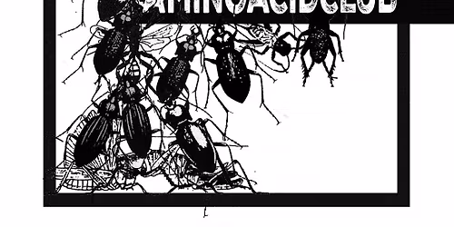 IMPLODERS (CA) + SPORTWEEKEND (BE) + AMINOACIDCLUB (BE)