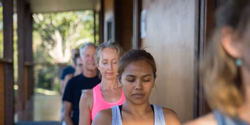 Trauma Informed Meditation Teacher Training: Brain, Biome & Genome