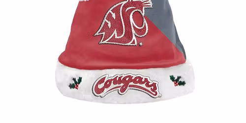 WSU Everett  Crimson Coug Holiday Market