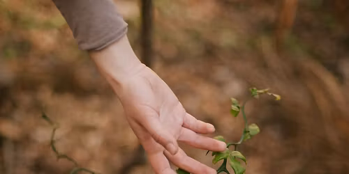 (be-ing) : bodies of the garden \/\/ meditation into jam \\\\