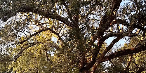 Tuesday Night Run Club