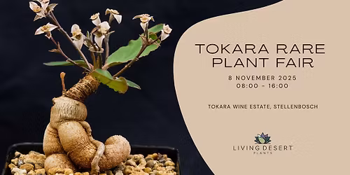 Living Desert Plants @ Tokara Rare Plant Fair