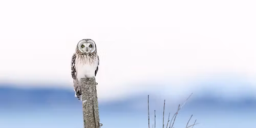 Natur p\u00e5 torsdag: Legg merke til naturen! Om naturfoto som n\u00f8kkel til \u00f8kt milj\u00f8bevissthet