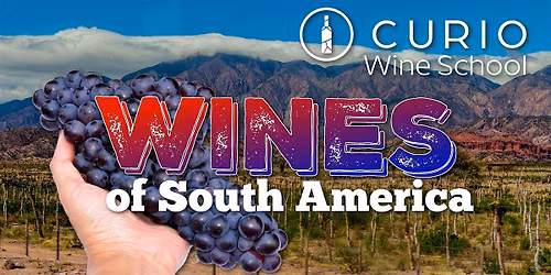 Curio Wine School: Wines of South America