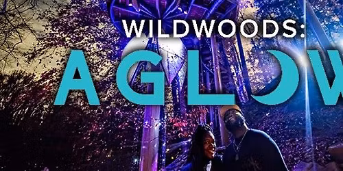 WildWoods: AGLOW