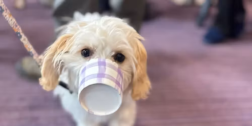 Farley's Bark & Brew