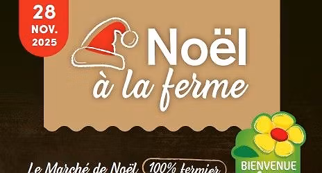 March\u00e9 de Noel au domaine Bohr