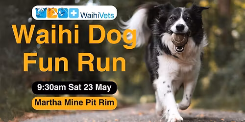 Waihi Vets Dog Fun Run