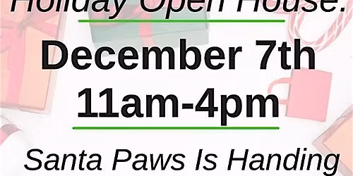 Dreamcoat Dog Spa's Winter Wish party.