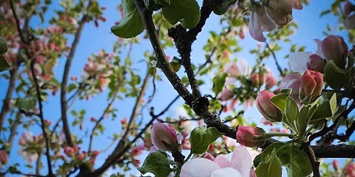 Anh\u00f6rigdagen - En dag om anh\u00f6rigst\u00f6d och livsl\u00e5ngt engagemang!