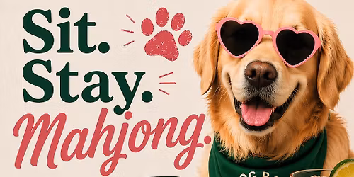 Sit. Stay. Mahjong. \ud83c\udc04 | Learn to Play Night at Dog Bar Sarasota