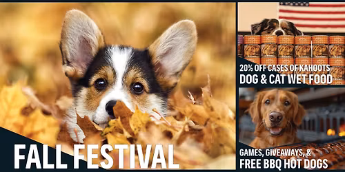 Fall Festival & Anniversary Celebration at KAHOOTS Rancho San Diego