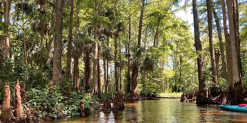 Paddle the Beautiful Loxahatchee