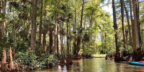 Paddle the Beautiful Loxahatchee
