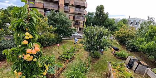 Atelier taille des fruitiers au verger municipal