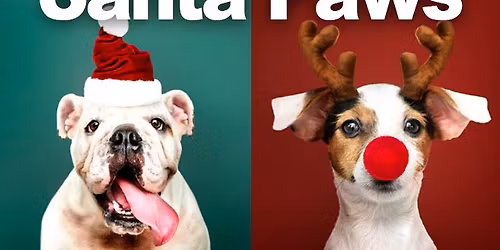 Santa Paws with Pawesome Afternoon Tea