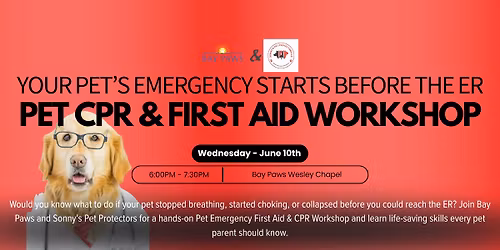 Wesley Chapel - Pet Emergency First Aid & CPR Workshop