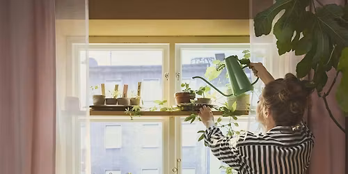 Growing Good Habits: Plant nursery