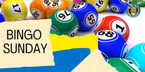Sunday Bingo