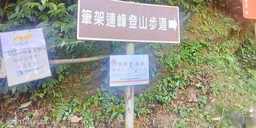 \u53f0\u5317\u5929\u969b\u7dda \u7b46\u67b6\u9023\u5cf0 \u963f\u67d4\u6d0b\u5c71\u8349\u6e73\u5927\u6995\u6a39\uff08\u5c71\u5354\u884c\u7a0b\uff09