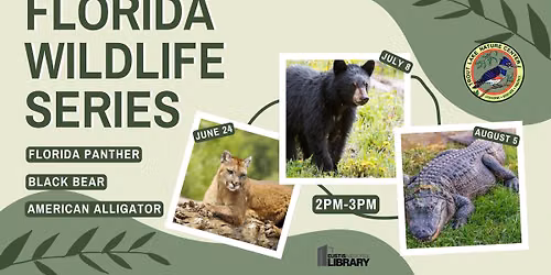 Florida Wildlife Series