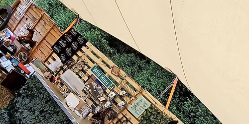 Vintage Coffee Morning 