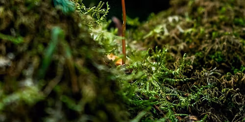 BA Theatre & Social Change: New Growth