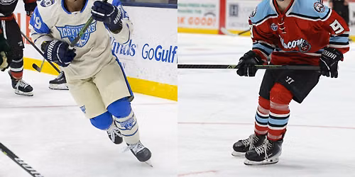 Peoria Rivermen vs. Pensacola Ice Flyers
