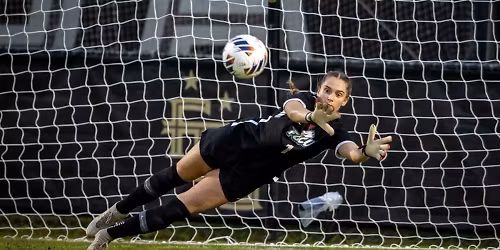 Parking Florida Gulf Coast Eagles at West Georgia Wolves Womens Basketball