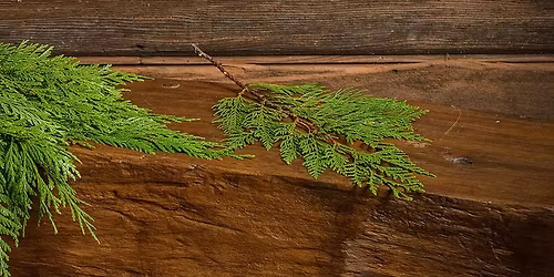 Pickup Your Fresh Greens For Holiday Porch Pots