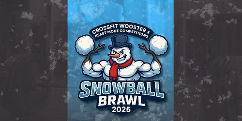 Snowball Brawl 2025