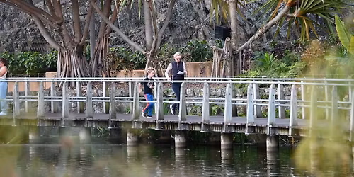 Roma St Parklands