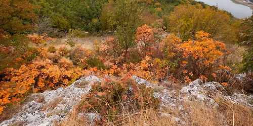 Еднодневна разходка до Фисека