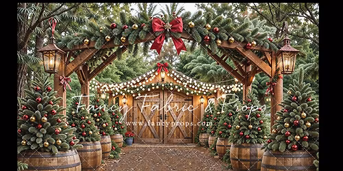 Indoor Christmas Mini Sessions