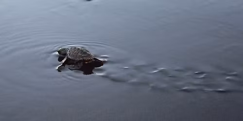 Coalition for Education in the Outdoors Research Symposium
