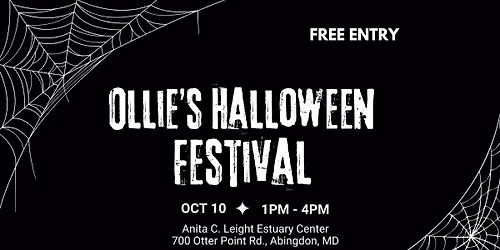 Ollies Halloween Festival