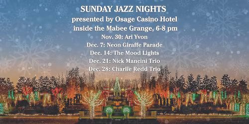 Sunday Jazz Nights at Botanic Garden of Lights: The Mood Lights